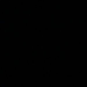 Meet your Posher, Brody